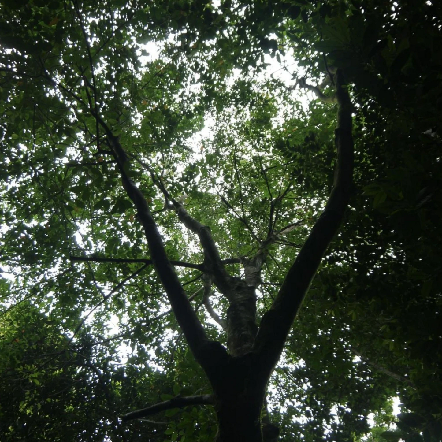 1c84e0a1-b68f-42d1-8dde-6e6c648142e4