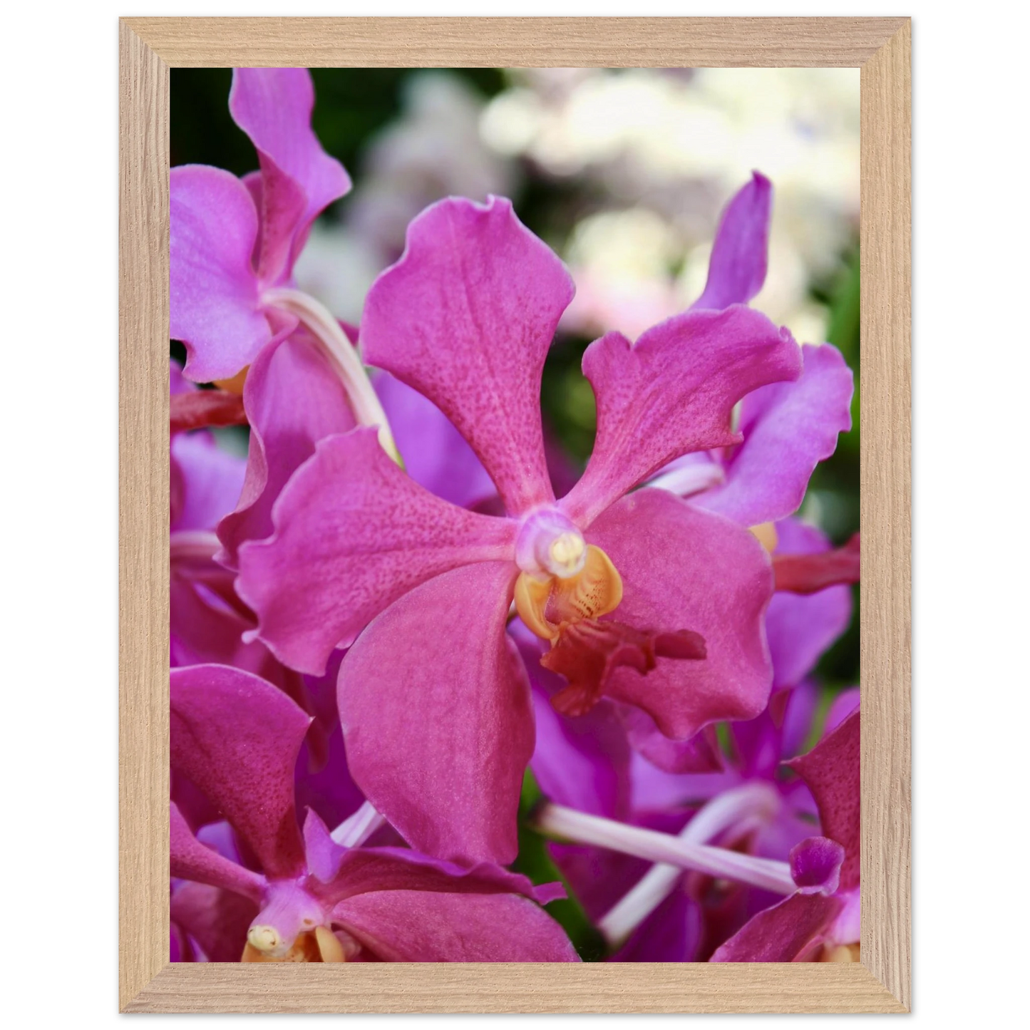 173c4fdd-48c7-4daf-9819-d755e23432d3