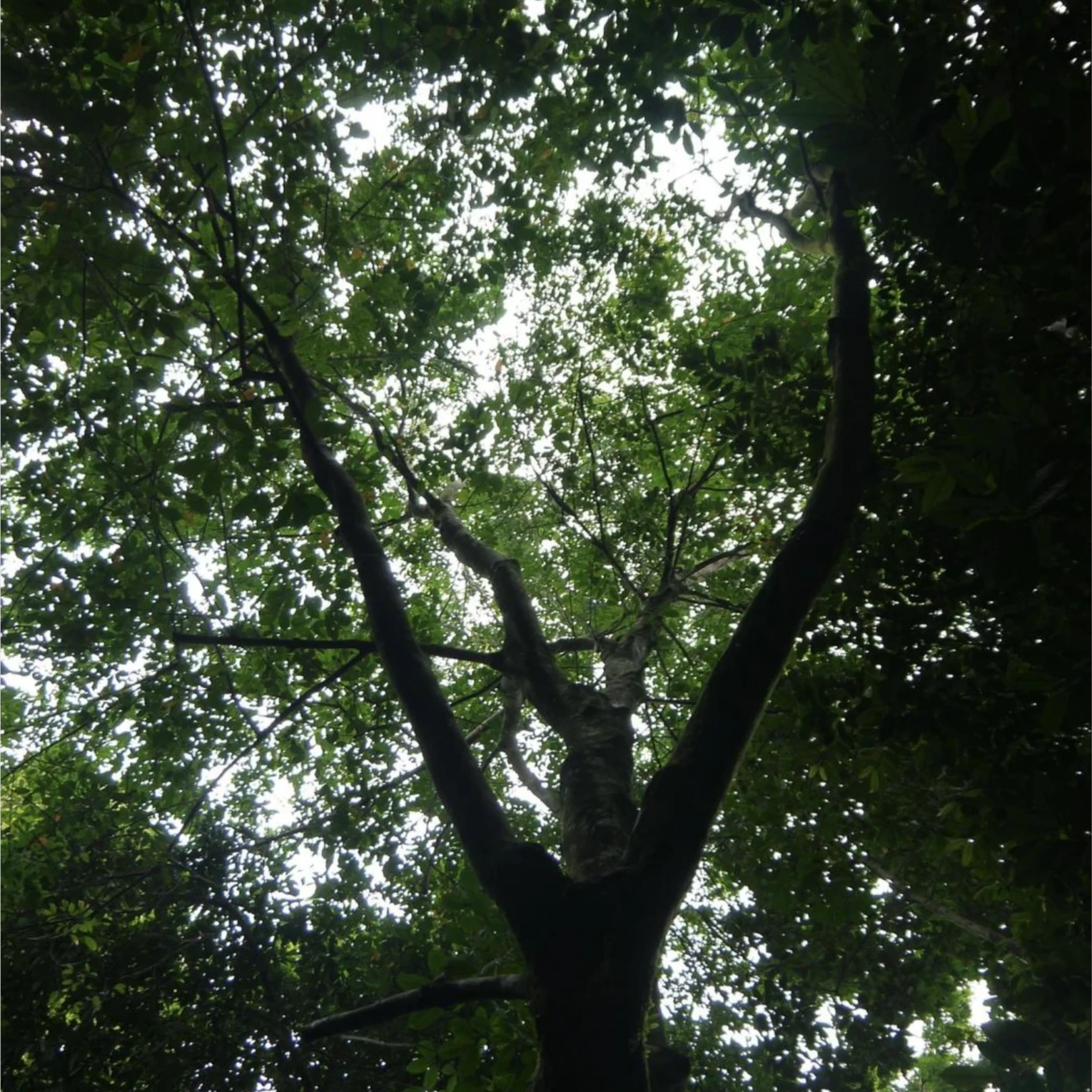 1c84e0a1-b68f-42d1-8dde-6e6c648142e4