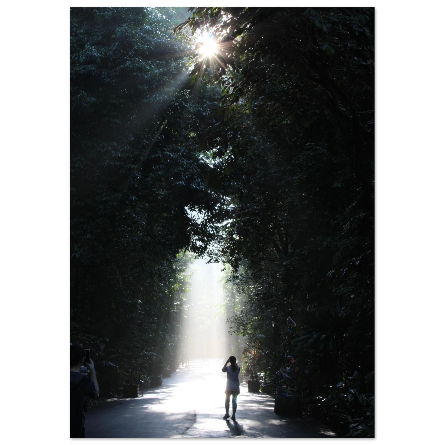 247973b0-9652-40ef-b6d1-a72c03b429c6