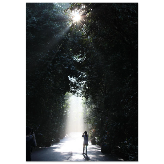 247973b0-9652-40ef-b6d1-a72c03b429c6