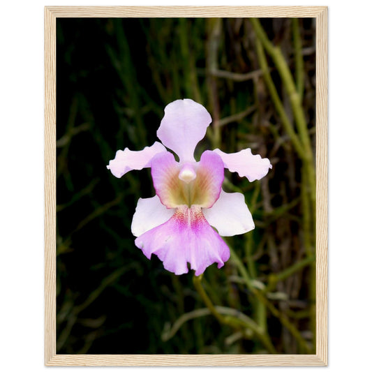 f6d4873b-c729-4da4-942b-2a99434435c9